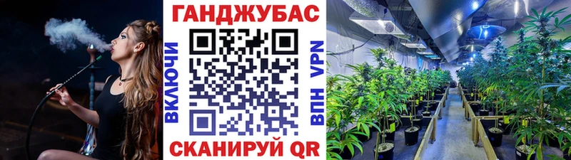 Конопля White Widow  гидра зеркало  Дорогобуж 